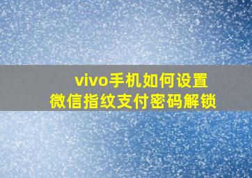 vivo手机如何设置微信指纹支付密码解锁