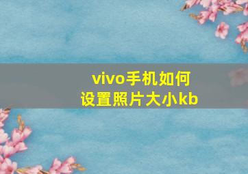 vivo手机如何设置照片大小kb