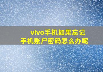 vivo手机如果忘记手机账户密码怎么办呢