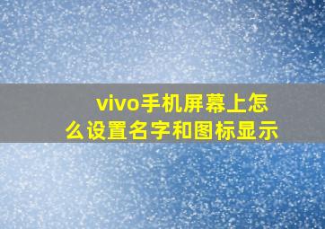 vivo手机屏幕上怎么设置名字和图标显示