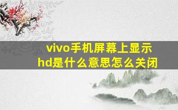 vivo手机屏幕上显示hd是什么意思怎么关闭