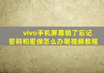 vivo手机屏幕锁了忘记密码和密保怎么办呢视频教程