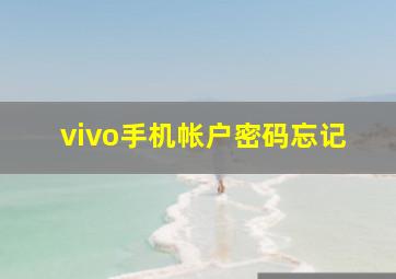 vivo手机帐户密码忘记