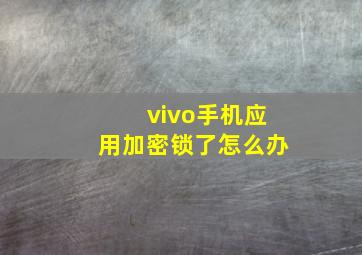 vivo手机应用加密锁了怎么办