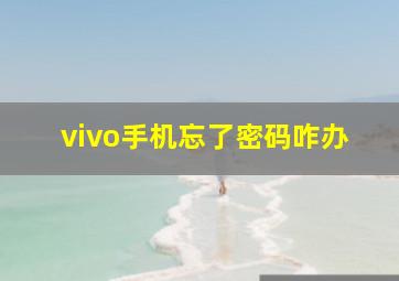 vivo手机忘了密码咋办