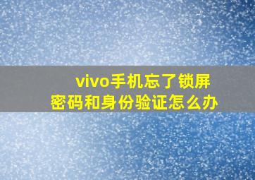 vivo手机忘了锁屏密码和身份验证怎么办