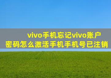 vivo手机忘记vivo账户密码怎么激活手机手机号已注销