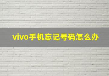 vivo手机忘记号码怎么办