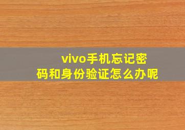 vivo手机忘记密码和身份验证怎么办呢