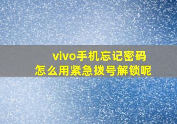 vivo手机忘记密码怎么用紧急拨号解锁呢