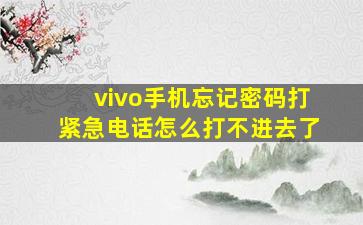 vivo手机忘记密码打紧急电话怎么打不进去了