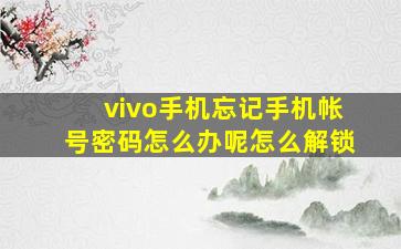 vivo手机忘记手机帐号密码怎么办呢怎么解锁