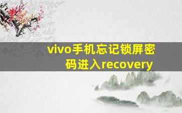 vivo手机忘记锁屏密码进入recovery