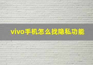 vivo手机怎么找隐私功能