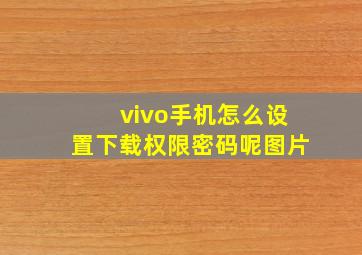 vivo手机怎么设置下载权限密码呢图片