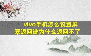 vivo手机怎么设置屏幕返回键为什么返回不了