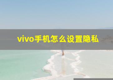 vivo手机怎么设置隐私