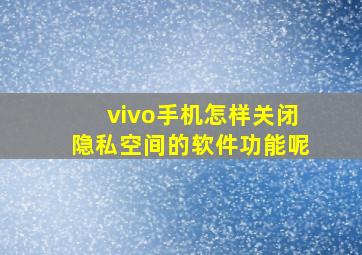 vivo手机怎样关闭隐私空间的软件功能呢