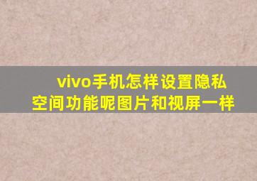 vivo手机怎样设置隐私空间功能呢图片和视屏一样