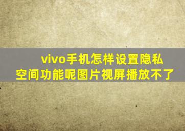 vivo手机怎样设置隐私空间功能呢图片视屏播放不了