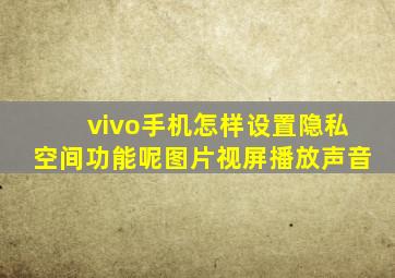 vivo手机怎样设置隐私空间功能呢图片视屏播放声音