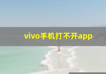 vivo手机打不开app