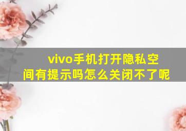 vivo手机打开隐私空间有提示吗怎么关闭不了呢