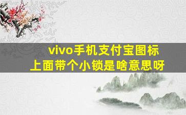 vivo手机支付宝图标上面带个小锁是啥意思呀