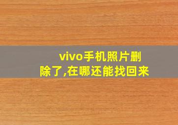 vivo手机照片删除了,在哪还能找回来