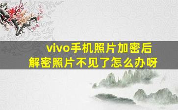 vivo手机照片加密后解密照片不见了怎么办呀