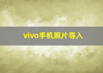 vivo手机照片导入