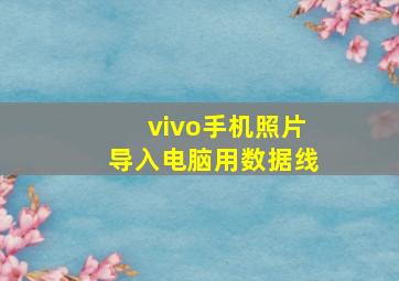 vivo手机照片导入电脑用数据线