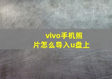 vivo手机照片怎么导入u盘上