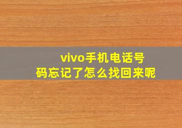 vivo手机电话号码忘记了怎么找回来呢