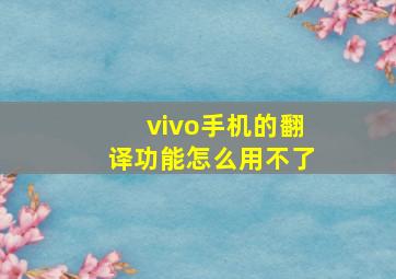 vivo手机的翻译功能怎么用不了