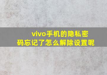 vivo手机的隐私密码忘记了怎么解除设置呢