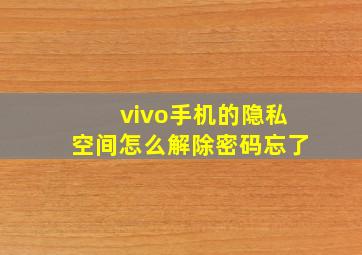 vivo手机的隐私空间怎么解除密码忘了