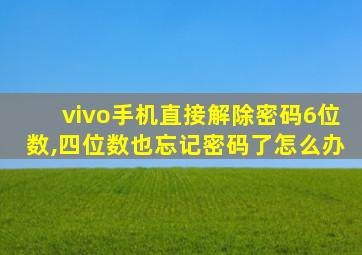 vivo手机直接解除密码6位数,四位数也忘记密码了怎么办