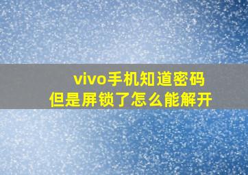 vivo手机知道密码但是屏锁了怎么能解开