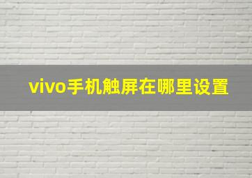 vivo手机触屏在哪里设置