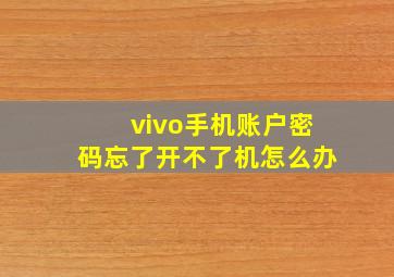 vivo手机账户密码忘了开不了机怎么办