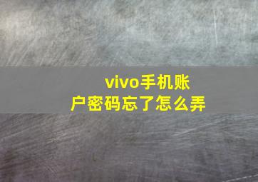 vivo手机账户密码忘了怎么弄