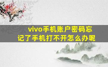 vivo手机账户密码忘记了手机打不开怎么办呢