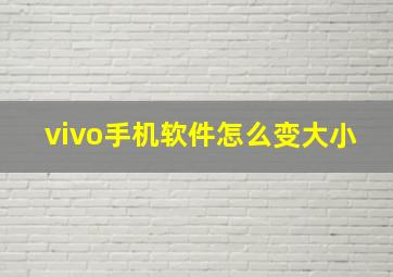 vivo手机软件怎么变大小