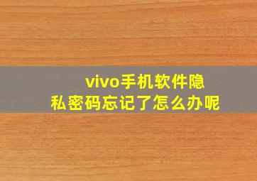 vivo手机软件隐私密码忘记了怎么办呢