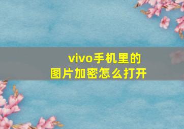 vivo手机里的图片加密怎么打开