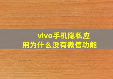 vivo手机隐私应用为什么没有微信功能