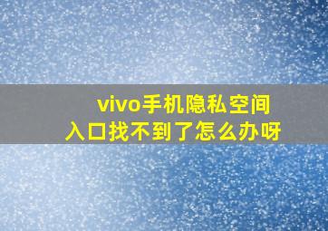 vivo手机隐私空间入口找不到了怎么办呀