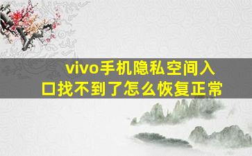 vivo手机隐私空间入口找不到了怎么恢复正常