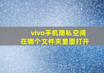 vivo手机隐私空间在哪个文件夹里面打开